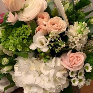 Meet your Posher, Jacqueline